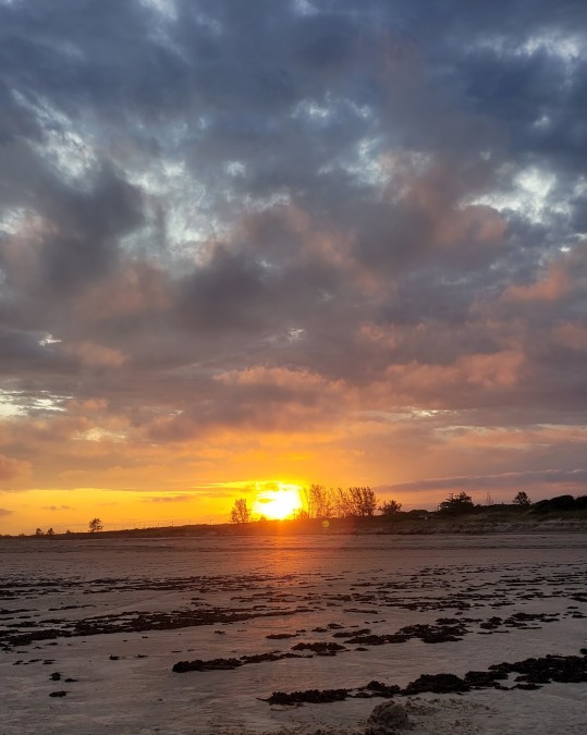 T eres el sol